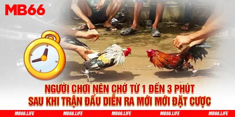 Đặt cược cửa Wala khó thắng, tuy nhiên mức thưởng lại cao