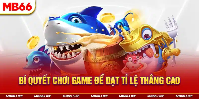 Bí quyết chơi game để đạt tỷ lệ thắng cao