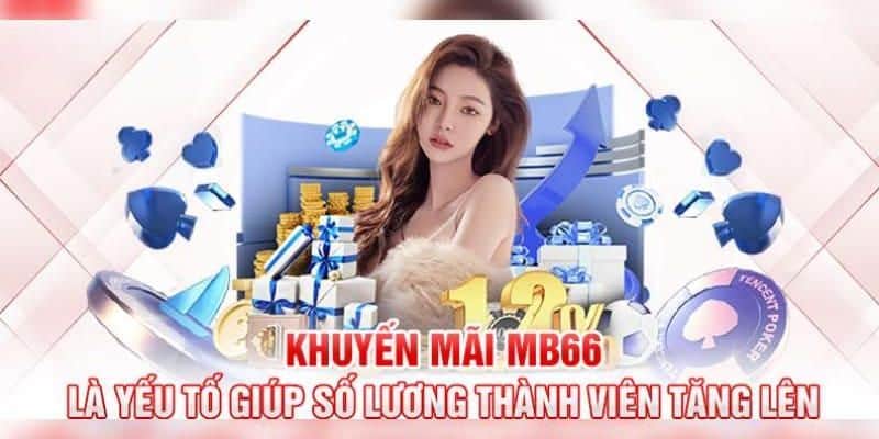 Ưu đãi độc quyền dành cho sảnh xổ số 